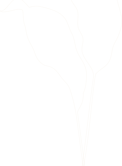 e81cca8c2b1dd27010897cdfc307998023423891